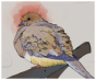 The Cornell Lab of Ornithology
